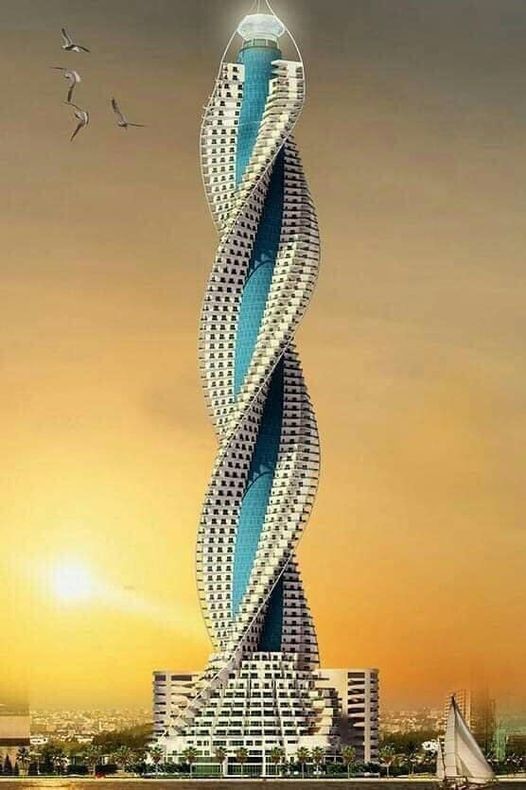 �������� ����� ������ . ���������� ������ 🇸🇦  ������ ���������� ����� 1 �� . (� ��� ��������� ����� , ��������� ����������� , ���������� )