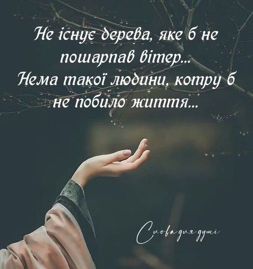 ���������� #2305320