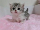��� ��