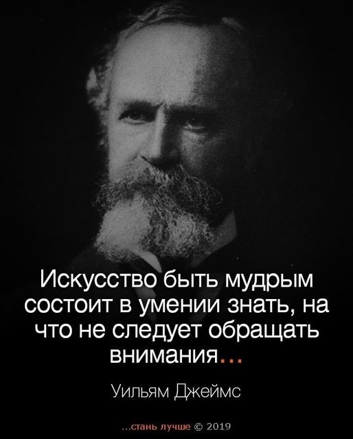���������� #2305571