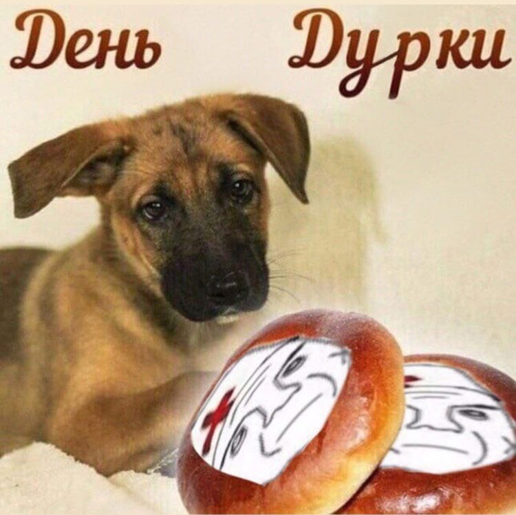 ���������� #2305657