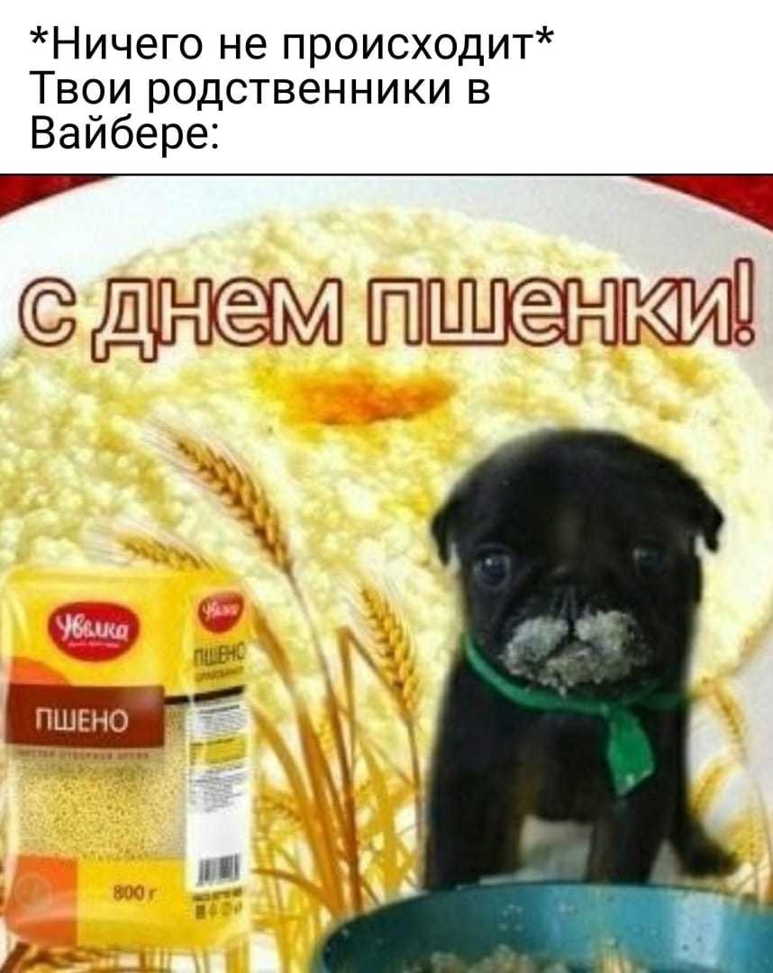 ���������� #2305662