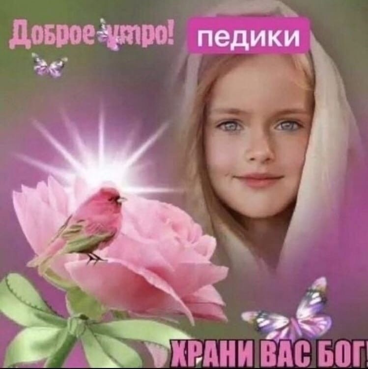 ���������� #2305672