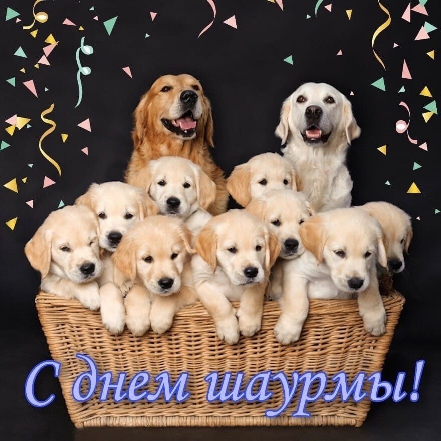 ���������� #2305675