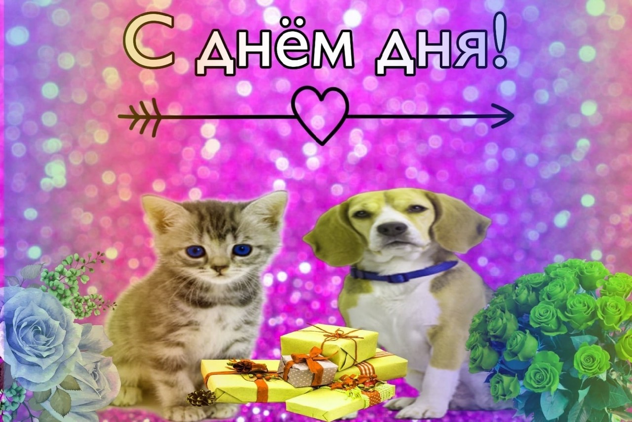 ���������� #2305676