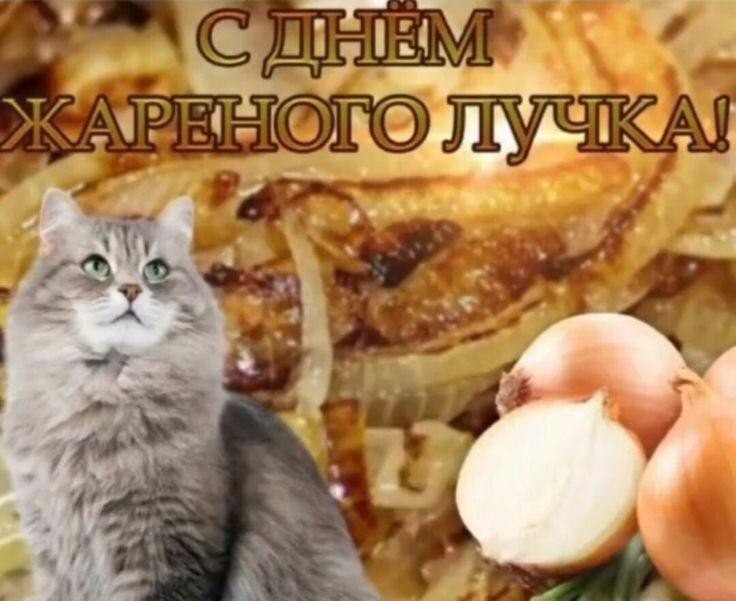 ���������� #2305677