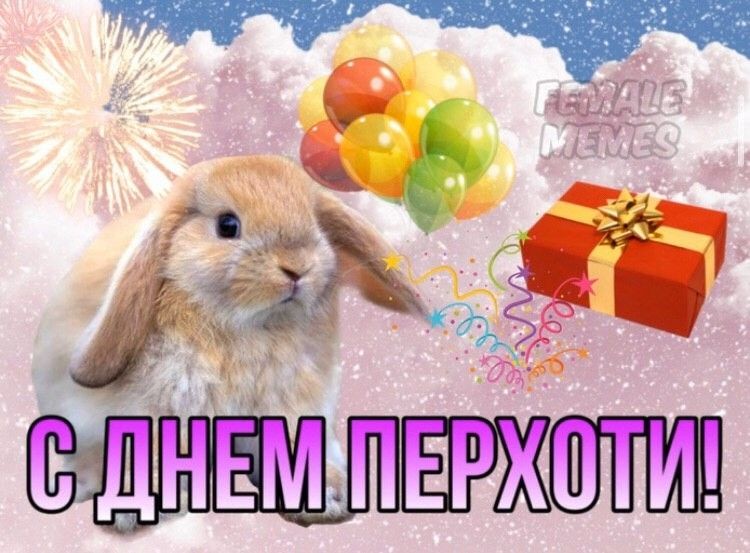���������� #2305681