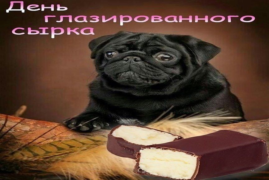 ���������� #2305688