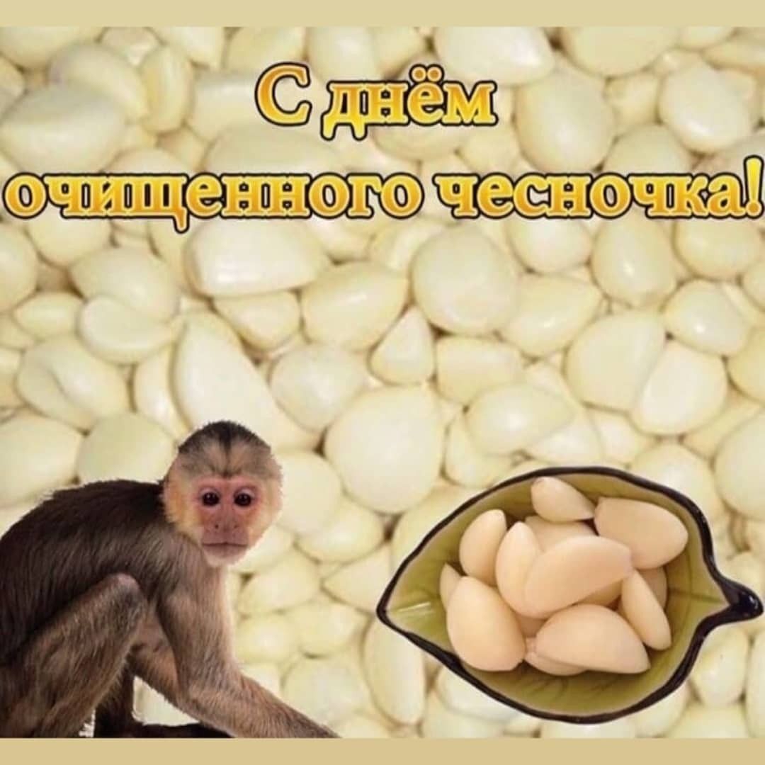 ���������� #2305702