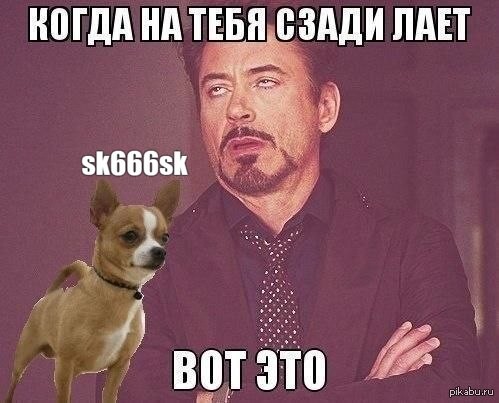 ���������� #2305890