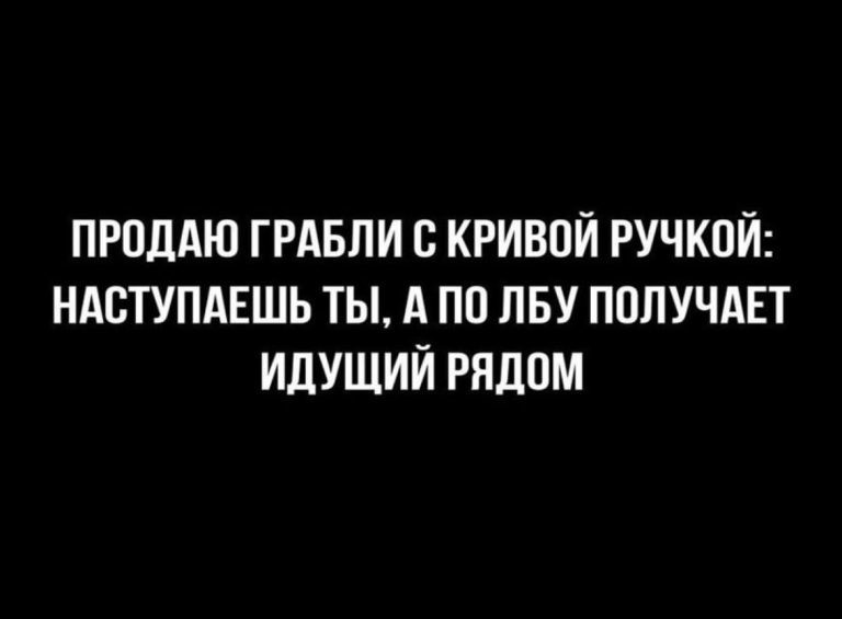 ���������� #2305927