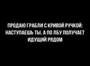 ���������� #2305927