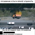 ���������� #2305935