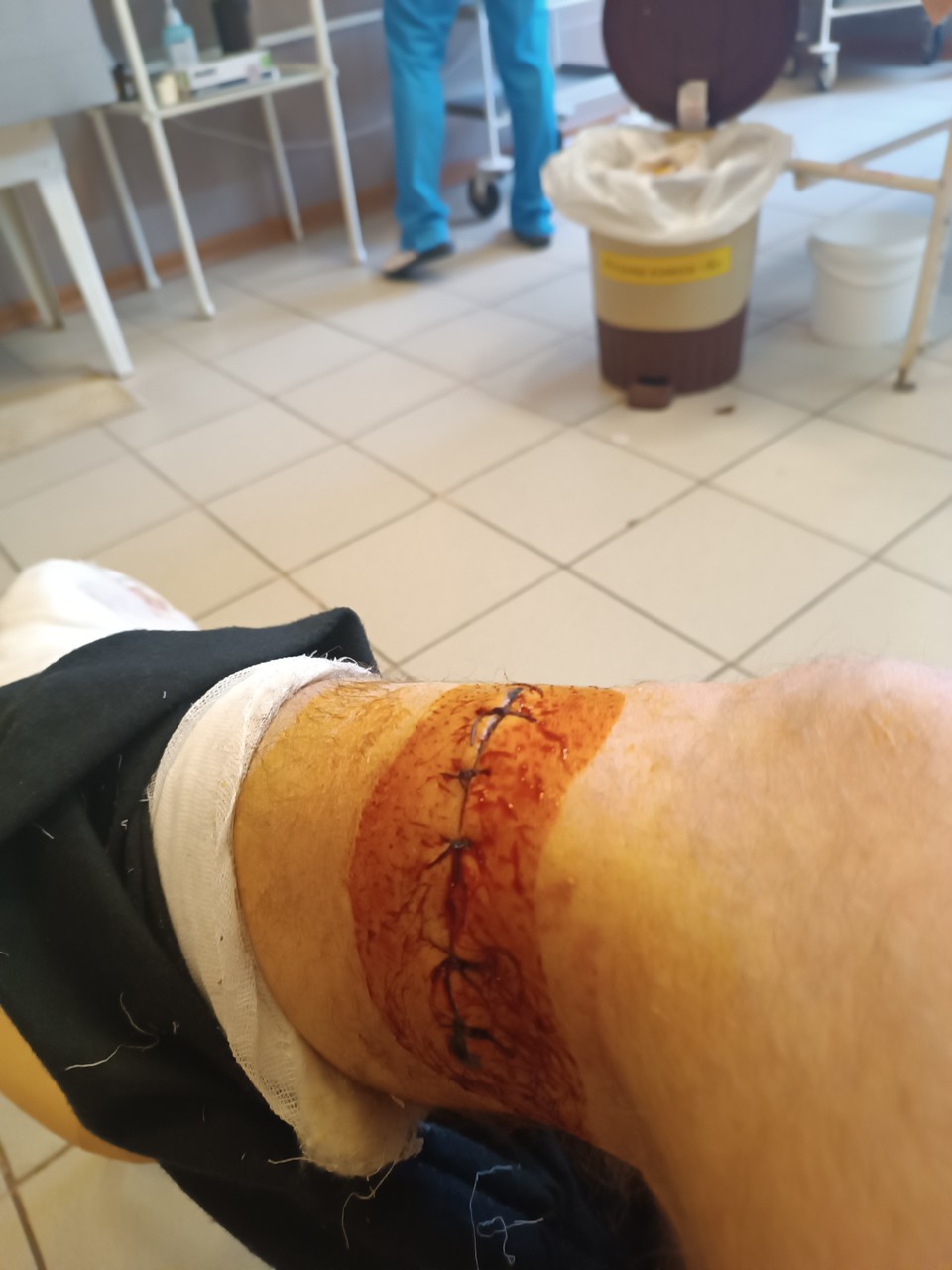 ���������� #2306250