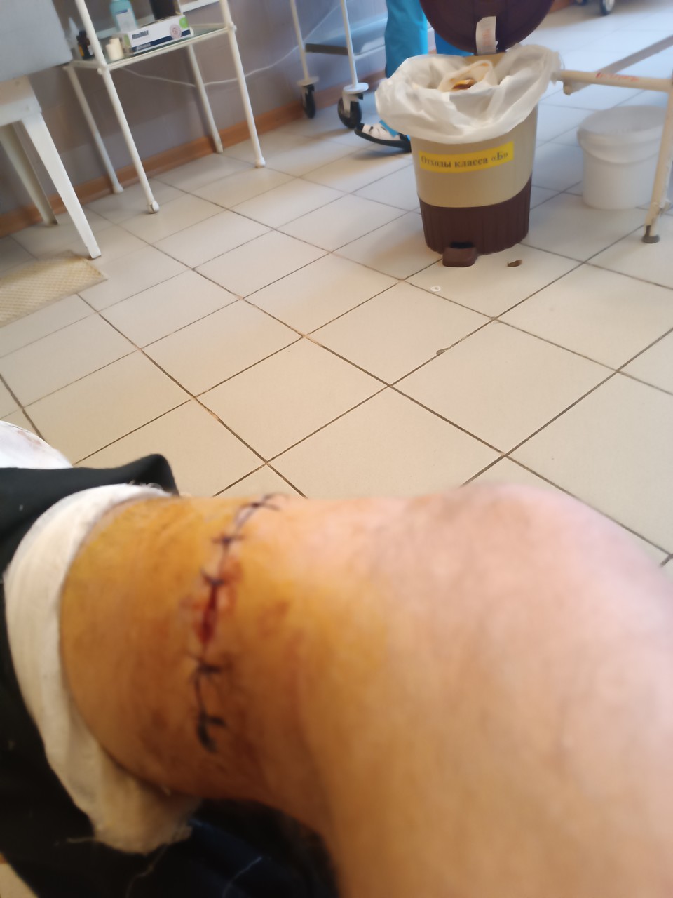 ���������� #2306251