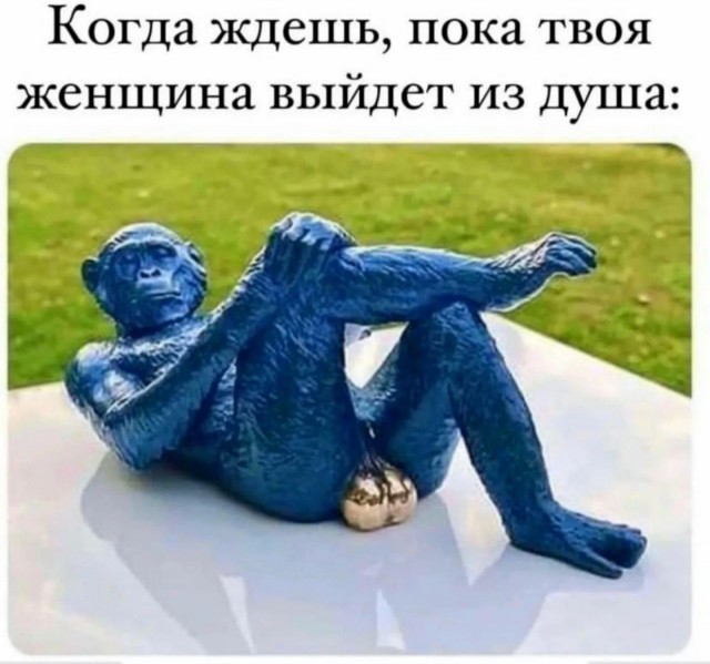 ���������� #2307090