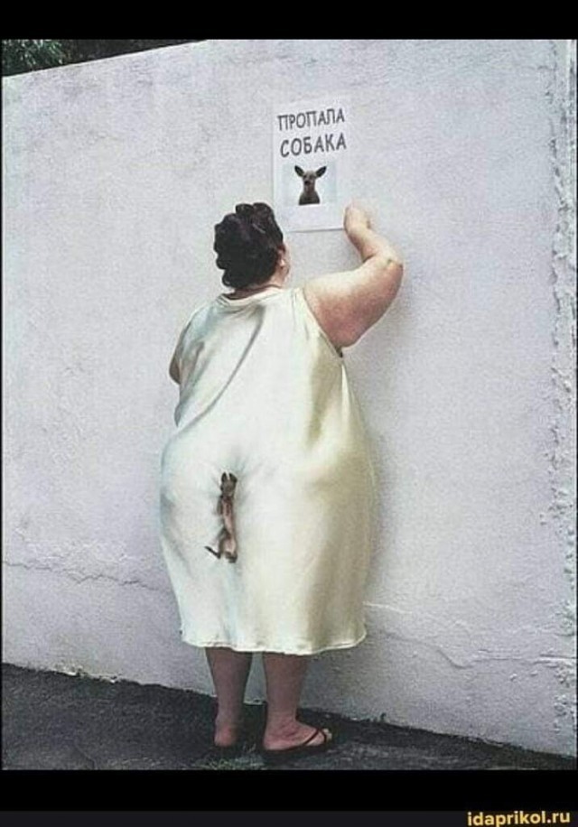 ���������� #2307099