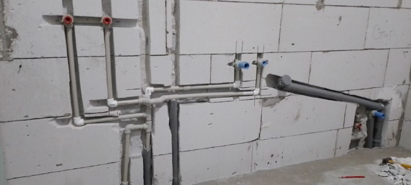���������� #2307214