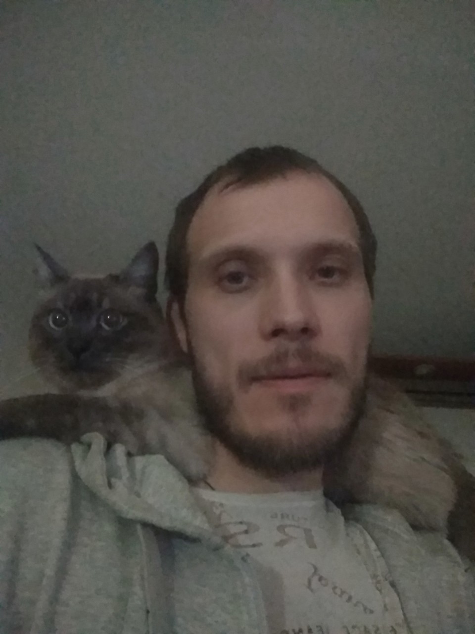 ���������� #2307237