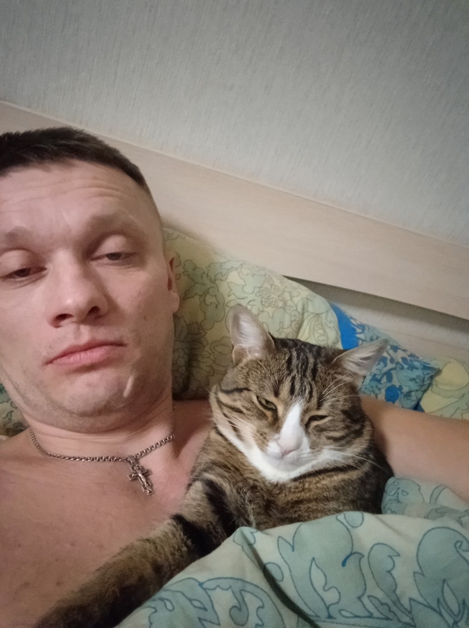 ���������� #2307293