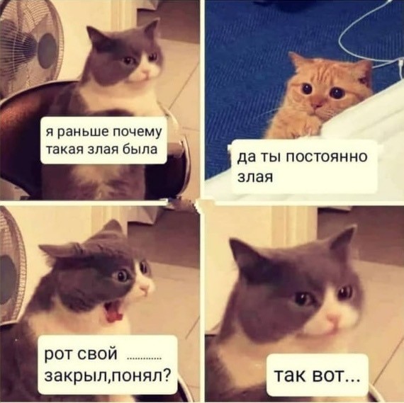 ���������� #2307469