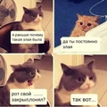 ���������� #2307469