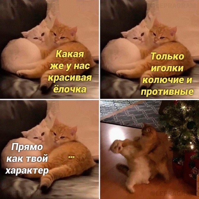 ���������� #2307470