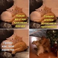 ���������� #2307470
