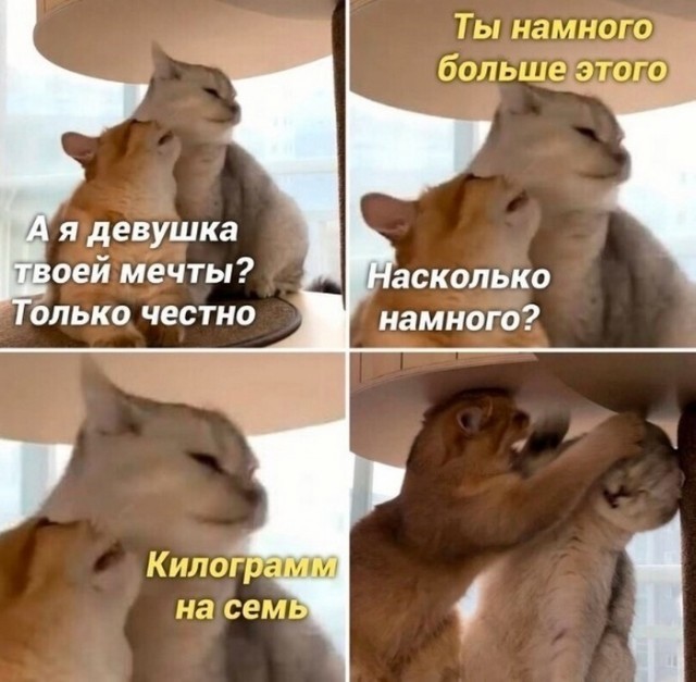 ���������� #2307473