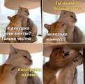 ���������� #2307473