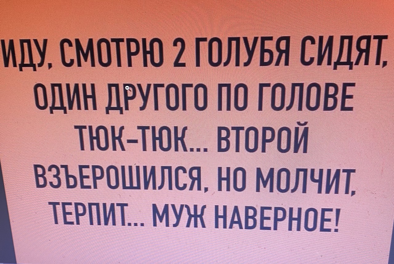 ���������� #2307474