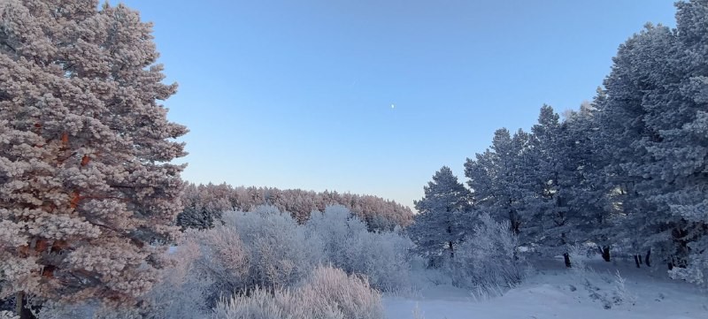 ���������� #2307682