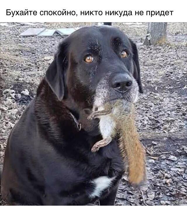 ���������� #2307686