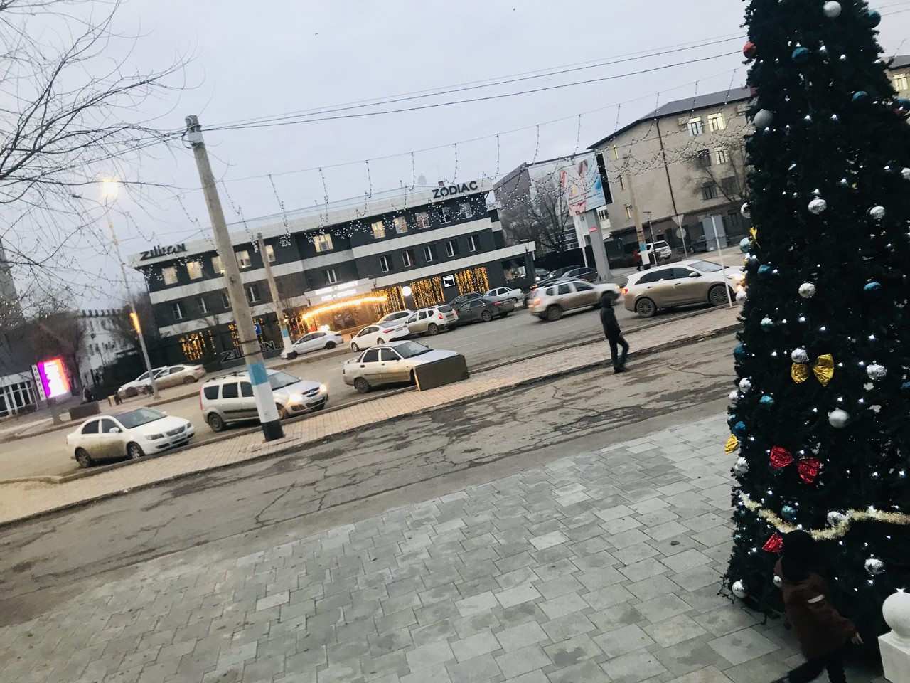 ���������� #2307820