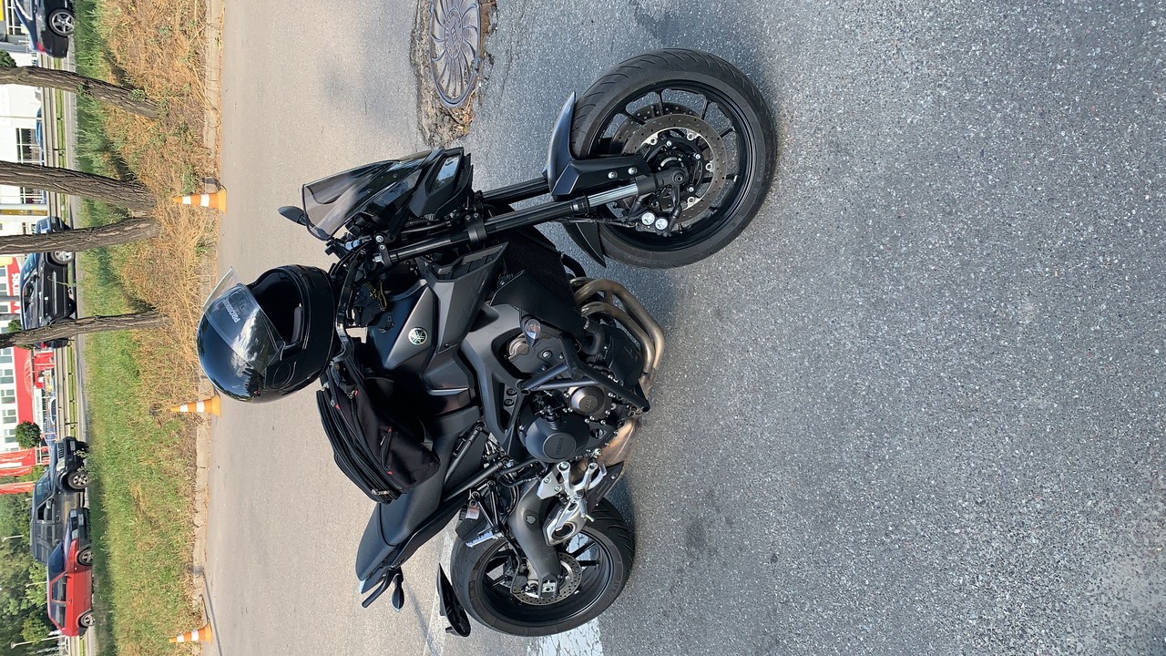 ���������� #2307831