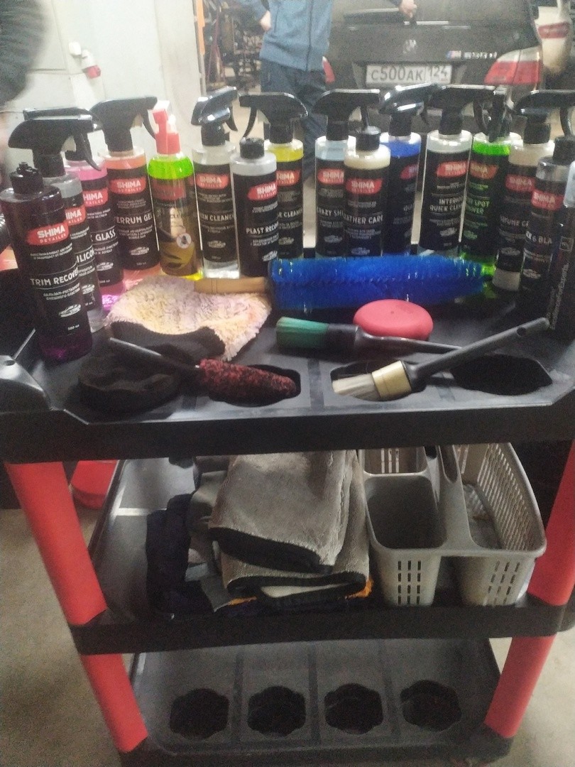 ���������� #2308181