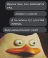 ���������� #2308250