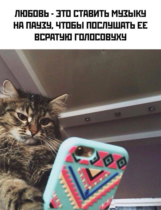 ���������� #2308520