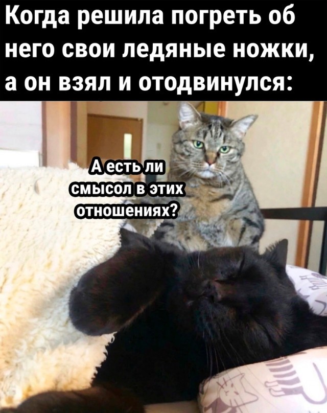 ���������� #2308582