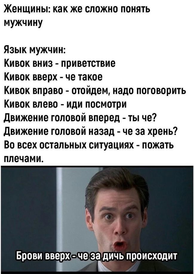 ���������� #2308586