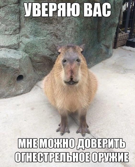 ���������� #2308607