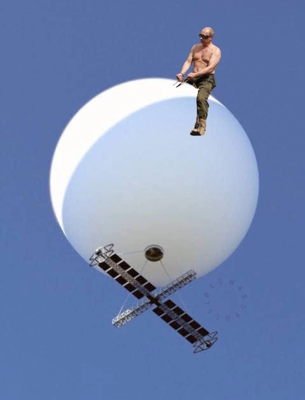 ���������� #2308959