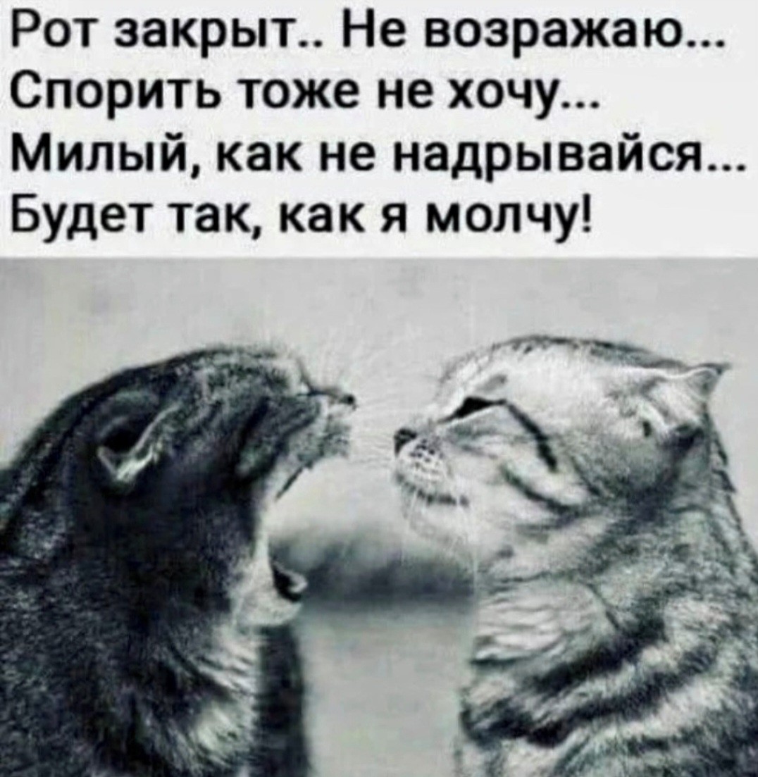 ���������� #2309133