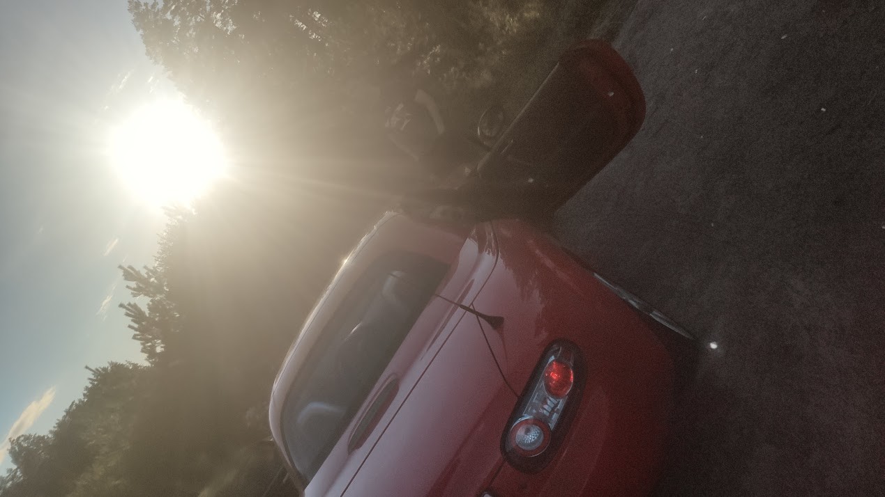 ���������� #2309424