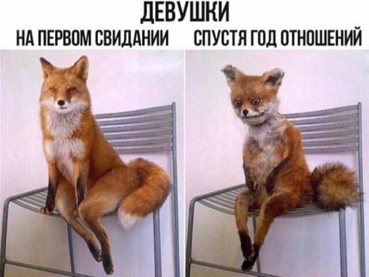 ��� ��� ��������
