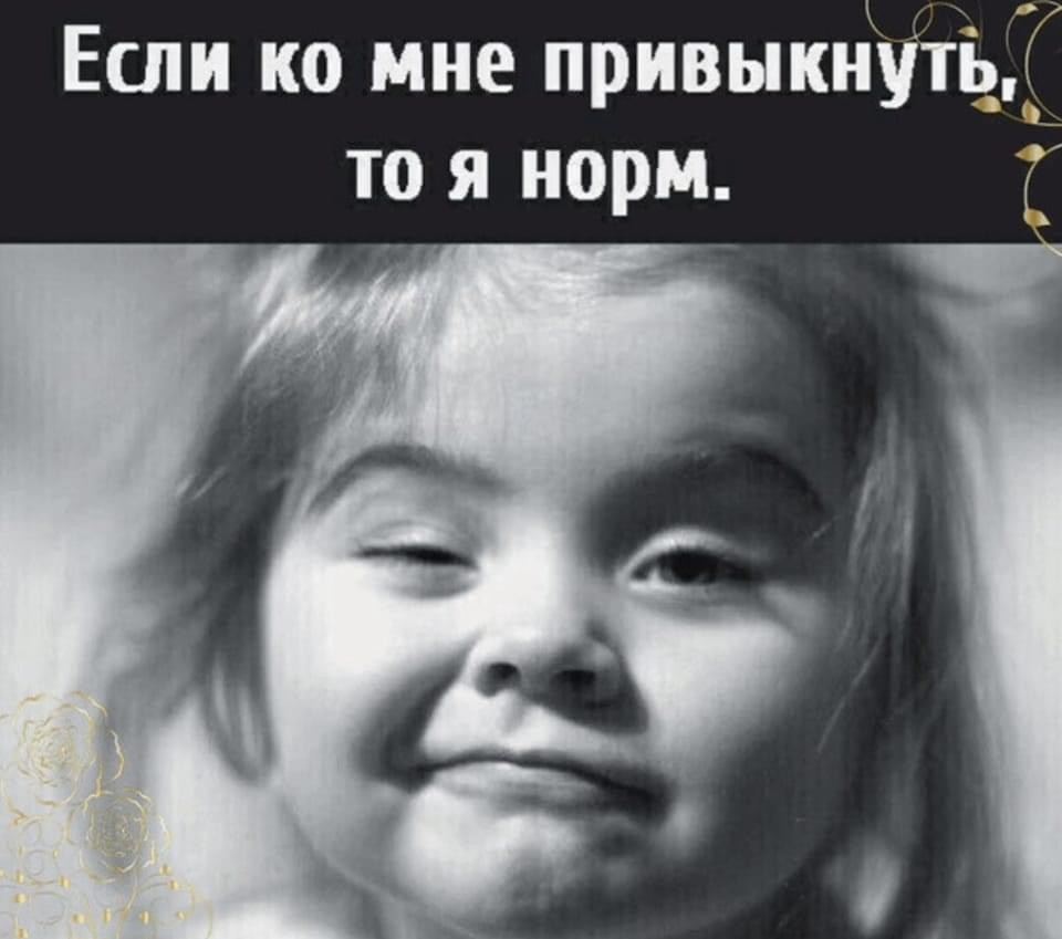 ���������� #2311011