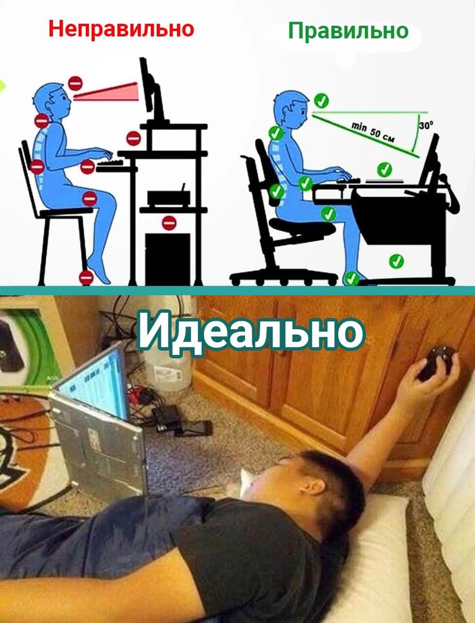 ���������� #2311013