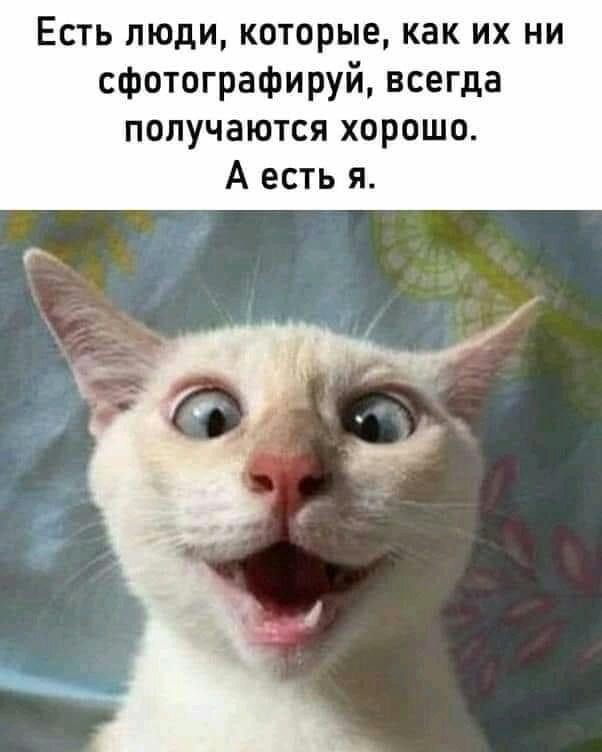���������� #2311016