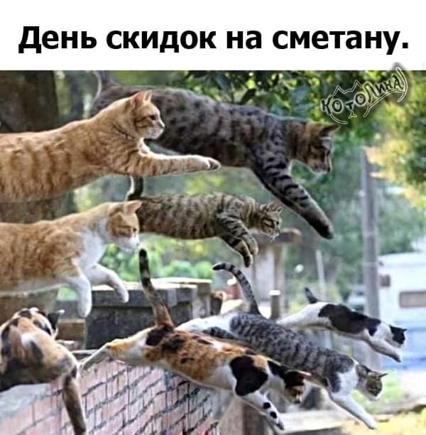 ���������� #2311017