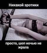 ���������� #2311019